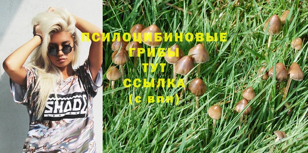 синтетический гашиш Бородино